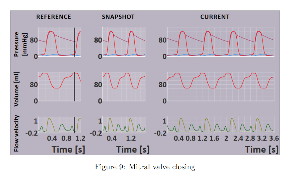 Physiological Modelling